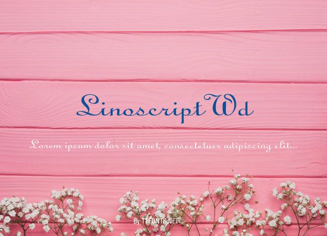 Linoscript Wd example